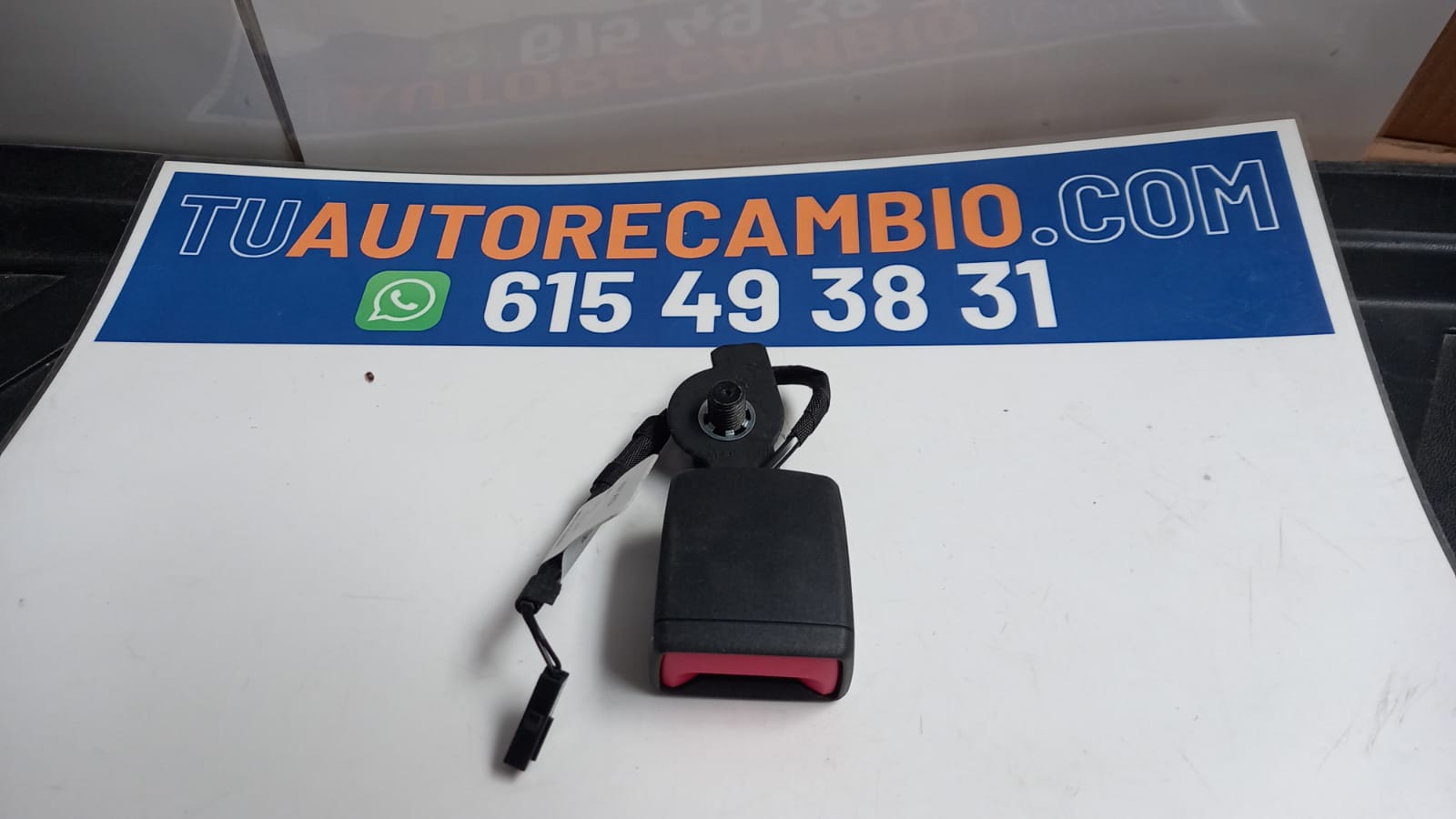 anclaje cinturon.
